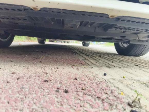 [上海·沪A] 二手丰田卡罗拉双擎E+2019款 1.8L E-CVT先锋版