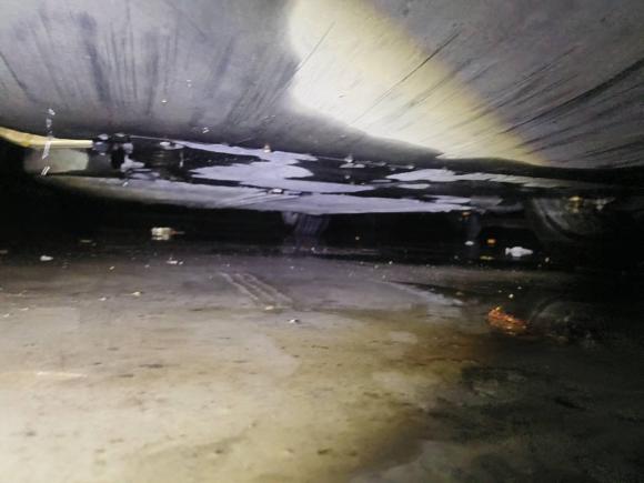 [青岛·鲁A] 二手特斯拉Model Y2021款 标准续航后驱版