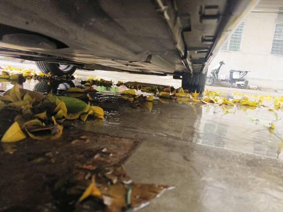 [佛山·粤E] 二手马自达马自达3 昂克赛拉2016款 三厢 2.0L 自动运动型