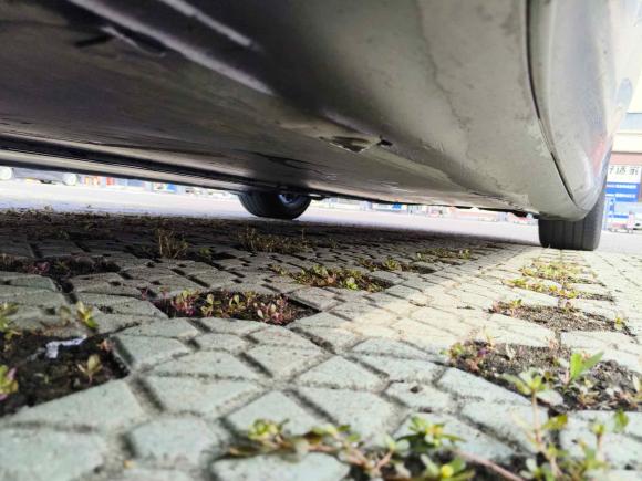 [宁波·浙B] 二手特斯拉Model 32020款 长续航后轮驱动版