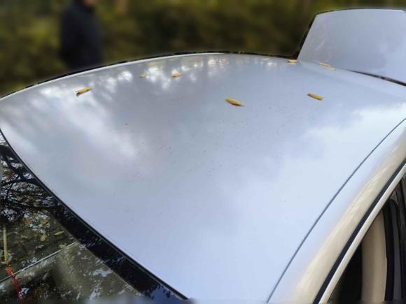 [无锡·苏B] 二手大众速腾2011款 1.6L 自动时尚型