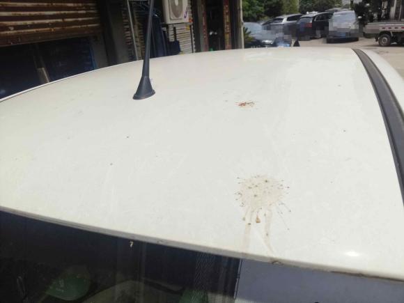 [义乌·浙G] 二手奔腾奔腾小马2024款 170km 活力马