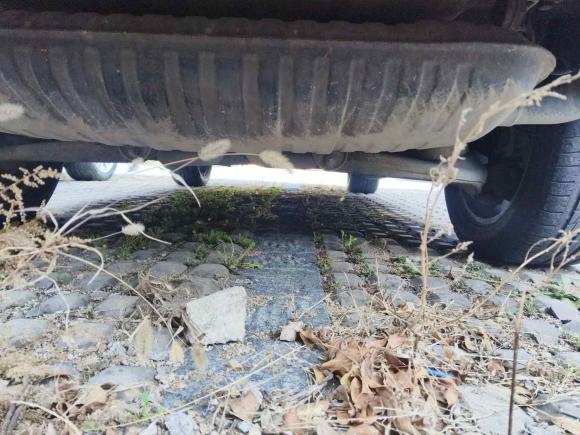 [青岛·鲁B] 二手路虎揽胜2010款 3.6 TDV8 HSE