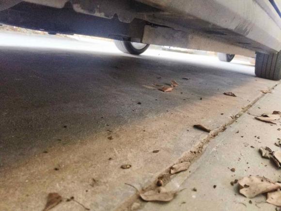 [南京·苏A] 二手欧拉欧拉好猫2021款 400km标准续航 维纳斯版 磷酸铁锂