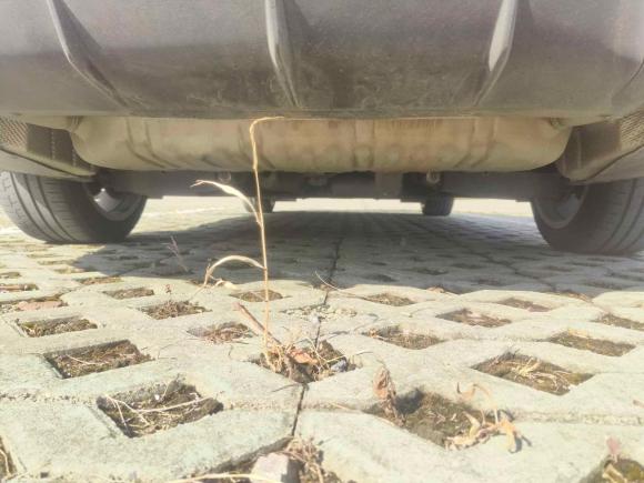 [上海·豫G] 二手凯迪拉克凯迪拉克CT42022款 28T 风尚型