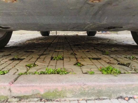 [成都·川A] 二手奥迪奥迪Q52017款 Plus 40 TFSI 技术型