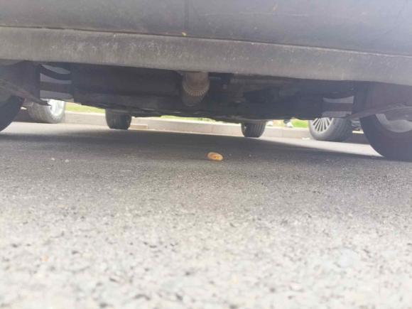 [济南·鲁A] 二手大众高尔夫2010款 1.4TSI 自动舒适型