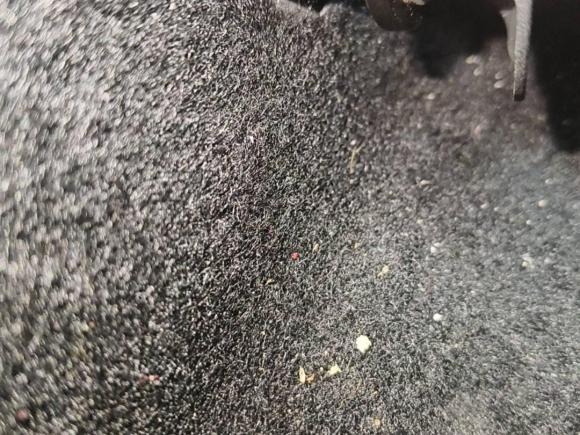 [深圳·桂J] 二手现代伊兰特2022款 240TGDi DCT LUX尊贵版