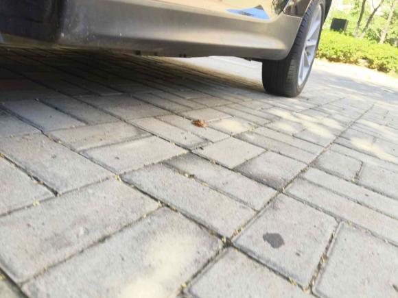 [青岛·鲁Y] 二手smartsmart fortwo2012款 1.0 MHD 硬顶舒适版