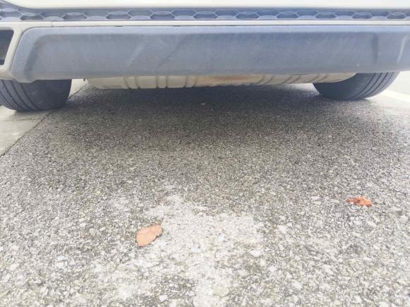 [苏州·豫A] 二手红旗红旗H52022款 经典款 改款 1.8T 自动智联旗享版