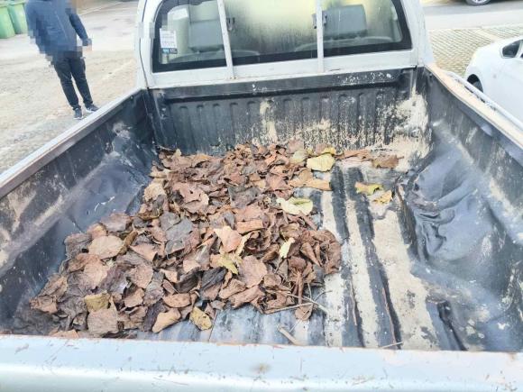 [合肥·皖A] 二手长城风骏52021款 2.0T柴油两驱超惠型大双排国VI GW4D20M