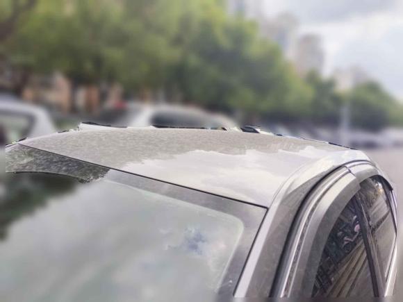 [上海·沪C] 二手斯柯达明锐2020款 1.5L 自动智行舒适版