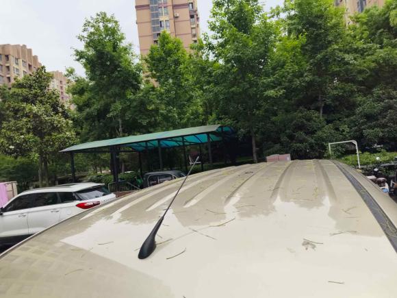 [上海·皖N] 二手五菱汽车五菱宏光V2019款 1.5L劲取版封窗车国VI LAR