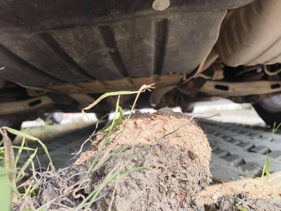 [苏州·苏E] 二手捷豹捷豹XFL2017款 XFL 2.0T 200PS 豪华版