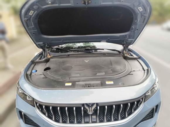 [上海·沪A] 二手岚图汽车岚图FREE2021款 四驱标准增程专属豪华套装