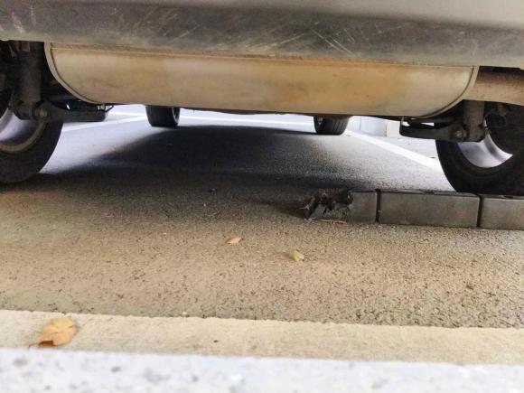 [无锡·苏B] 二手君马汽车君马MEET 3(美图3)2018款 1.5T CVT豪华型