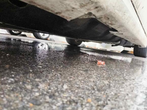 [上海·豫P] 二手福特蒙迪欧2020款 EcoBoost 200 豪华型