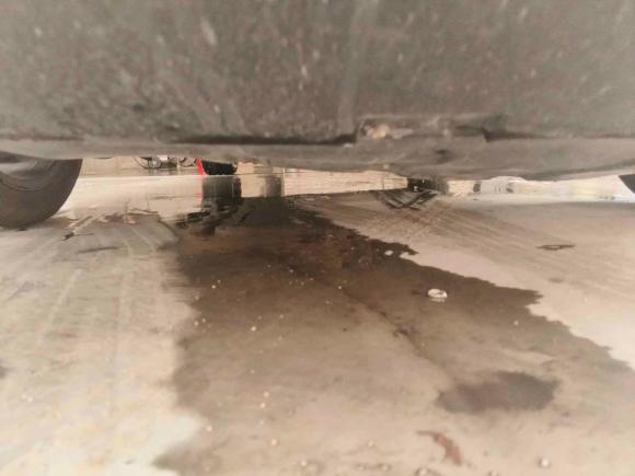 [上海·沪A] 二手比亚迪秦PLUS2021款 DM-i 120KM 尊贵型