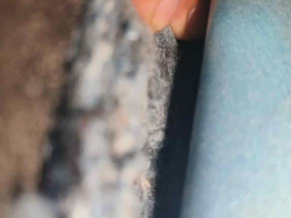 [广州·粤A] 二手比亚迪元PLUS2022款 510KM 尊荣型