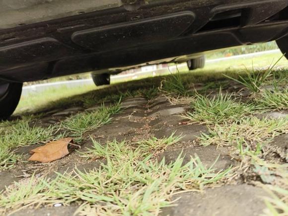 [青岛·鲁B] 二手大众朗逸2023款 1.5L 自动满逸版