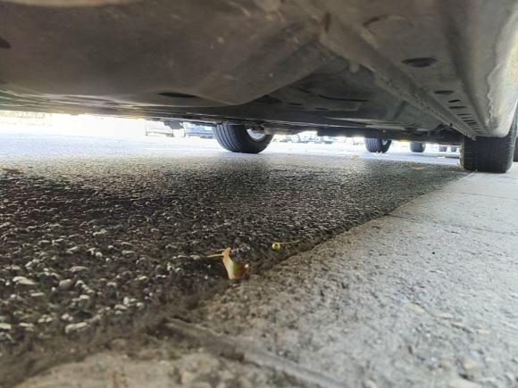 [金华·浙G] 二手别克君越2016款 20T 精英型