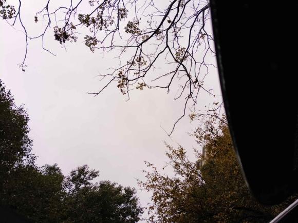 [上海·沪A] 二手MINIMINI COUNTRYMAN2011款 1.6L COOPER Excitement