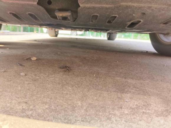 [上海·苏U] 二手长安逸动2019款 高能版 1.6L GDI 自动先锋型 国VI