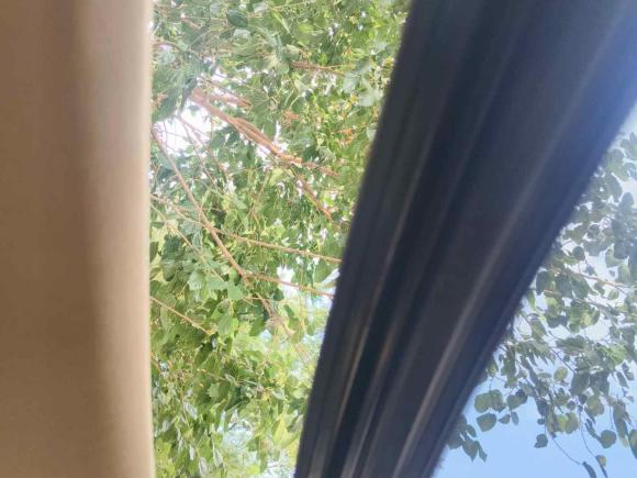 [西安·陕A] 二手本田雅阁2011款 2.4L EX