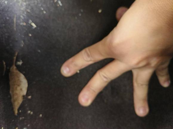 [杭州·浙B] 二手宝骏宝骏310W2017款 1.5L 手动舒适型 国V