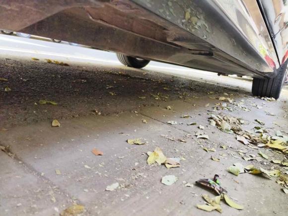 [西安·陕A] 二手比亚迪秦PLUS2023款 冠军版 EV 420KM领先型