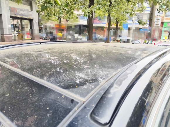 [佛山·粤Y] 二手现代胜达2013款 2.0T 自动四驱顶级型