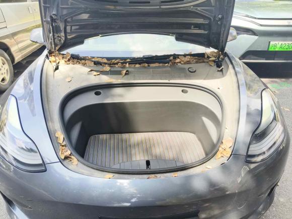 [上海·沪A] 二手特斯拉Model 32021款 标准续航后驱升级版