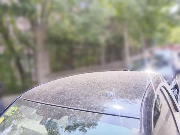 [济南·鲁A] 二手smartsmart fortwo2014款 1.0 MHD 硬顶新年特别版