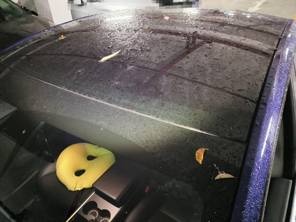 [上海·沪A] 二手特斯拉Model Y2021款 长续航全轮驱动版