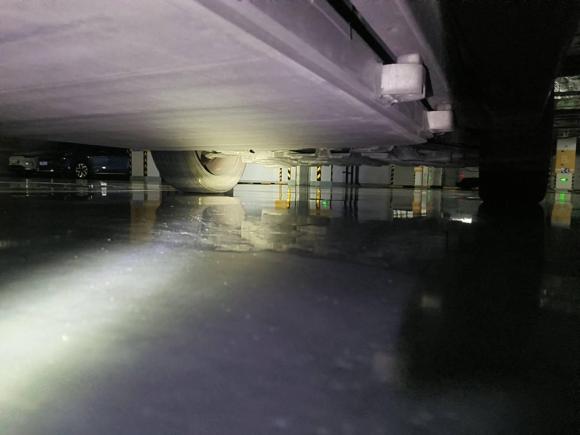 [杭州·浙A] 二手比亚迪元新能源2019款 EV535 高能领航版