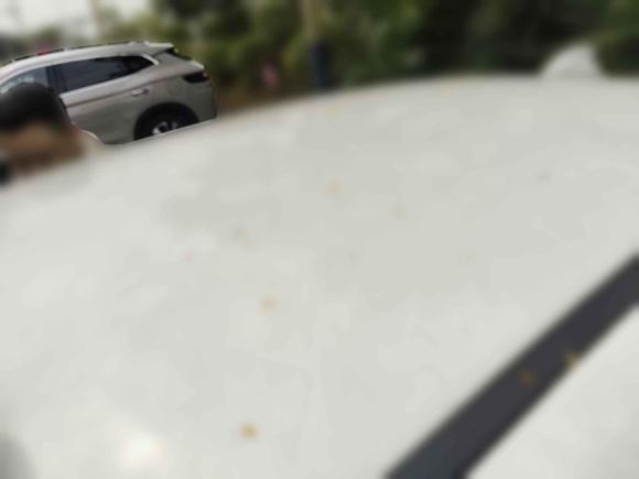 [深圳·粤B] 二手比亚迪秦新能源2017款 1.5T 秦100