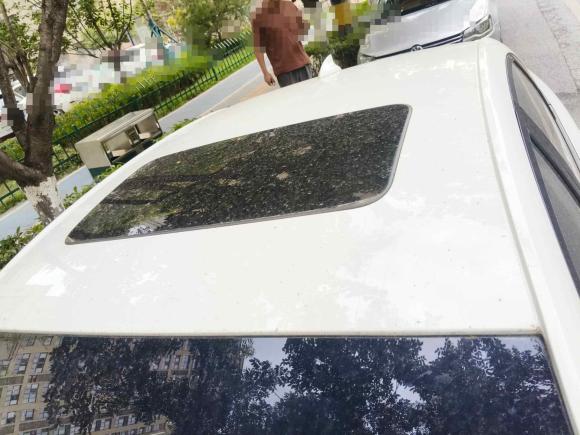 [西安·陕U] 二手雪佛兰科鲁泽2019款 RS 330T 自动痛快版 国VI