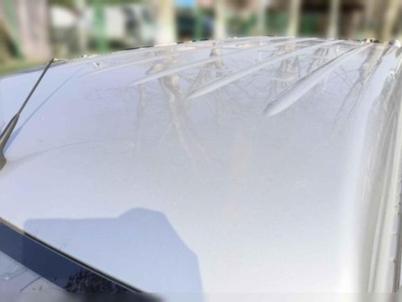 [合肥·皖A] 二手五菱汽车五菱之光2023款 1.5L 实用型 5/7座