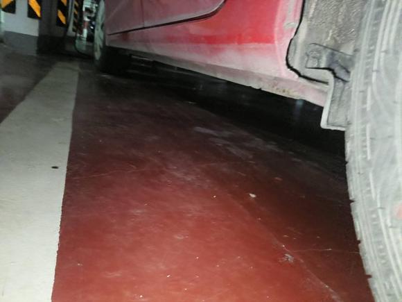 [嘉兴·浙F] 二手本田飞度2014款 1.5L LX CVT舒适型