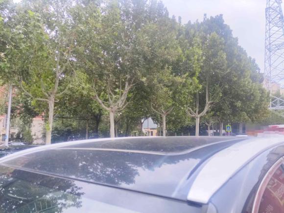 [青岛·鲁U] 二手丰田汉兰达2015款 2.0T 四驱豪华版 7座