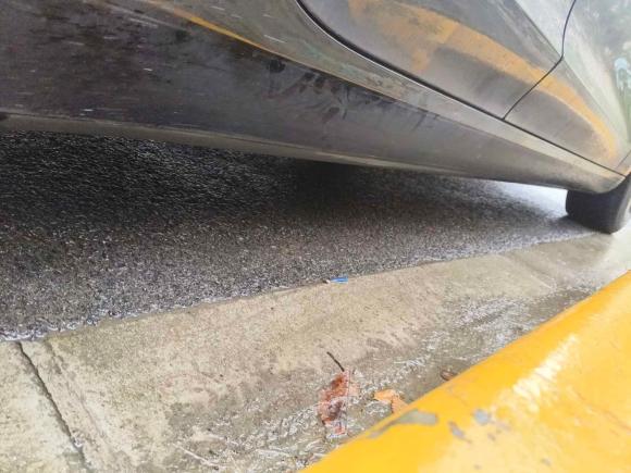 [上海·沪A] 二手特斯拉Model 32020款 改款 标准续航后驱升级版