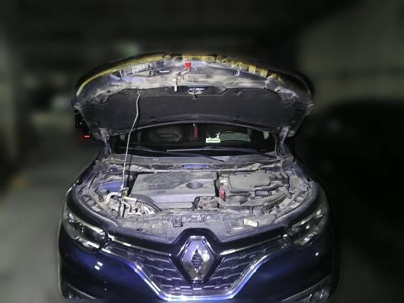 [合肥·皖A] 二手雷诺科雷嘉2016款 2.0L 两驱尊贵版