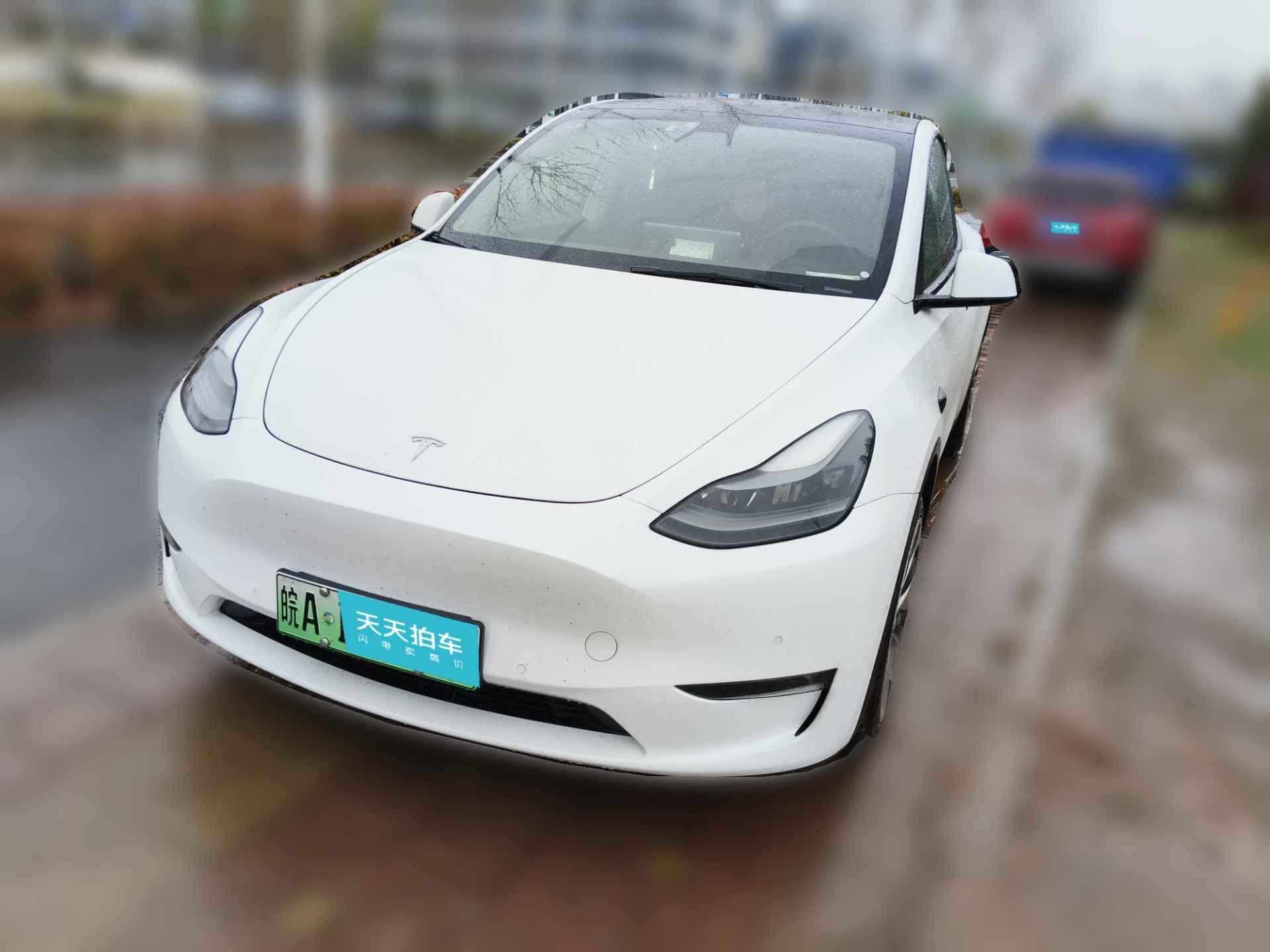 [合肥·皖A] 特斯拉Model Y2021款 长续航全轮驱动版