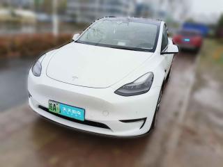 特斯拉Model Y2021款 长续航全轮驱动版