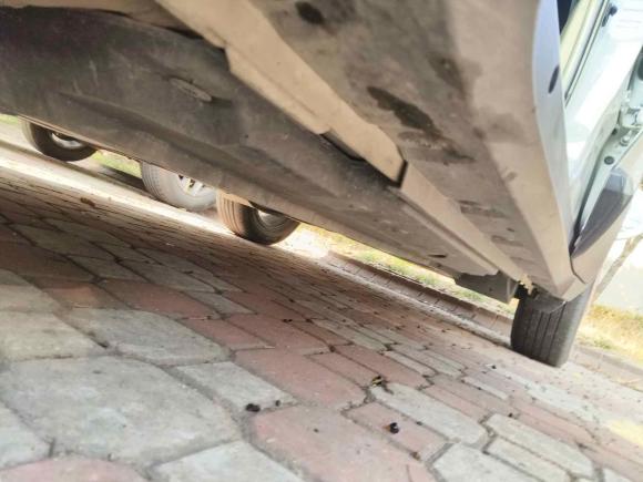 [上海·皖A] 二手丰田丰田C-HR2020款 2.0L 领先版