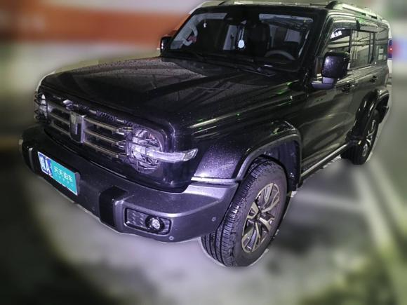 [合肥·皖A] 二手坦克坦克3002024款 2.0T 穿越者