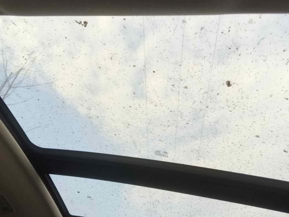 [成都·川A] 二手红旗红旗H52018款 30TD 智联享动版