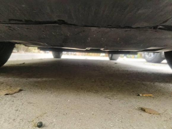 [上海·沪A] 二手比亚迪比亚迪e22021款 豪华型