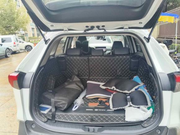 [台州·浙J] 二手丰田RAV4荣放2023款 2.0L CVT两驱风尚Plus版