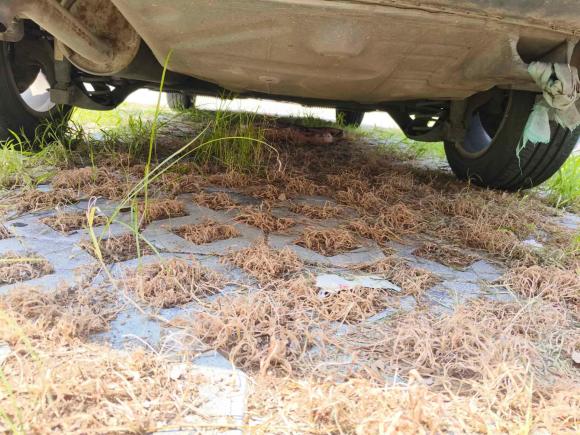 [南京·苏A] 二手大众桑塔纳2013款 1.6L 自动舒适版